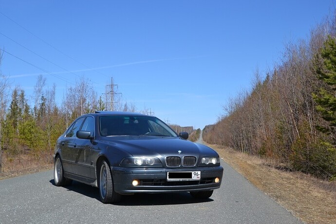 DSC_0531.JPG