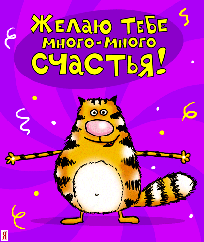 226434.gif