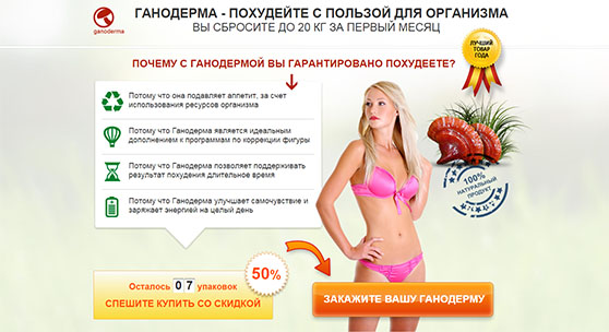 news-285.jpg