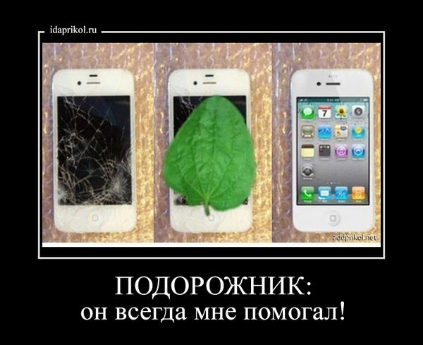 468b91c0ca9251f072c3825cbc84d95a76b95f76e56b8e221ddfae43ac9b89c3_1.jpg