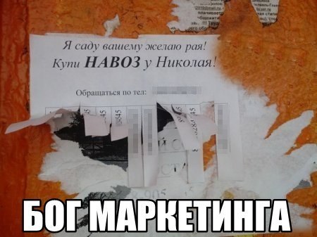 0EFt9EiwoeU.jpg