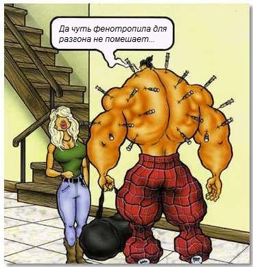 490161.jpg