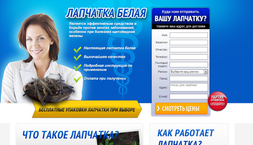 lapch_новый размер.png
